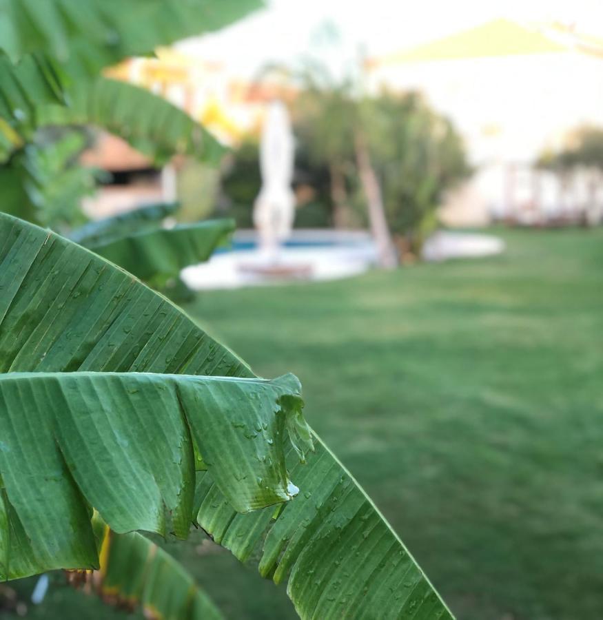 Triangulo Hotel Алачати Екстер'єр фото